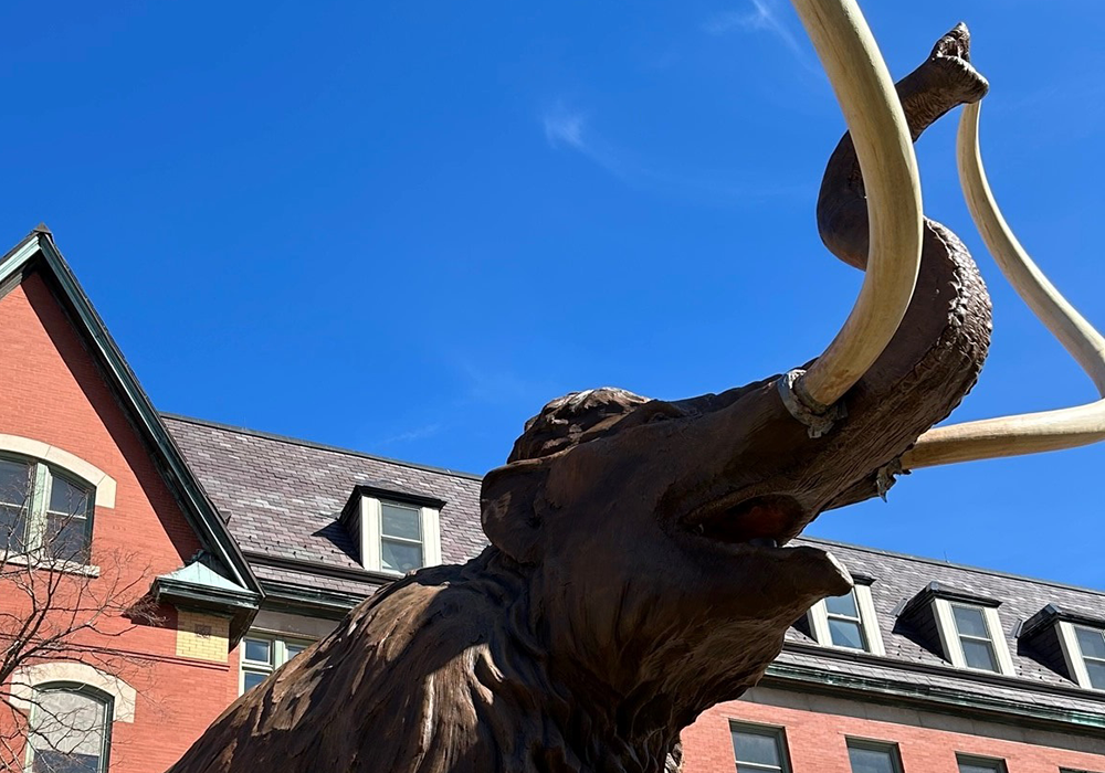 Woolly Mammoth sculpture at the Natural History Building