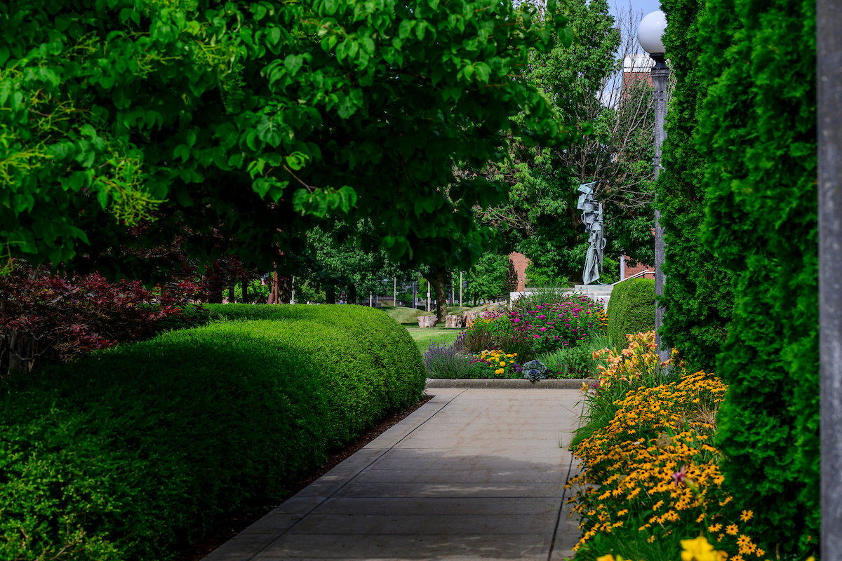 The Gelvin Gardens provide an oasis of natural beauty gracing the entrance of the Krannert Art Museum. The gardens, originally designed by landscape architecture professor emeritus Terry Harkness, are maintained by KAM Council Gelvin Gardens volunteers led by Master Gardener Gloria Rainer. The space offers a peaceful place to enjoy flowers, fauna and sculpture work. The gardens are found at the University of Illinois Urbana-Champaign.